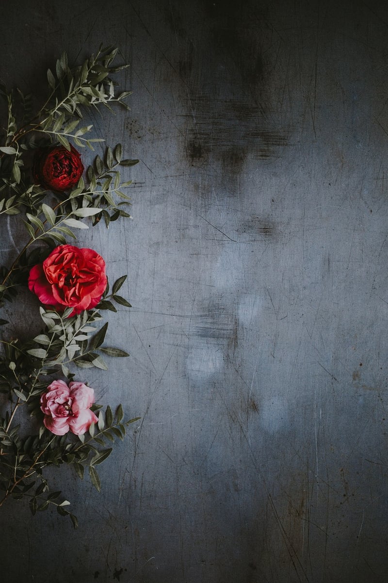 Botanical Designs