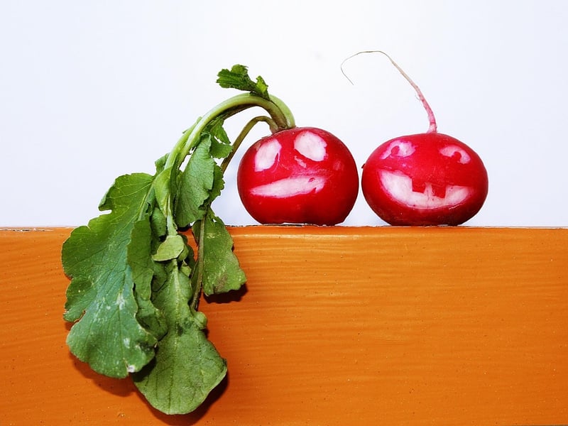 Edible Art